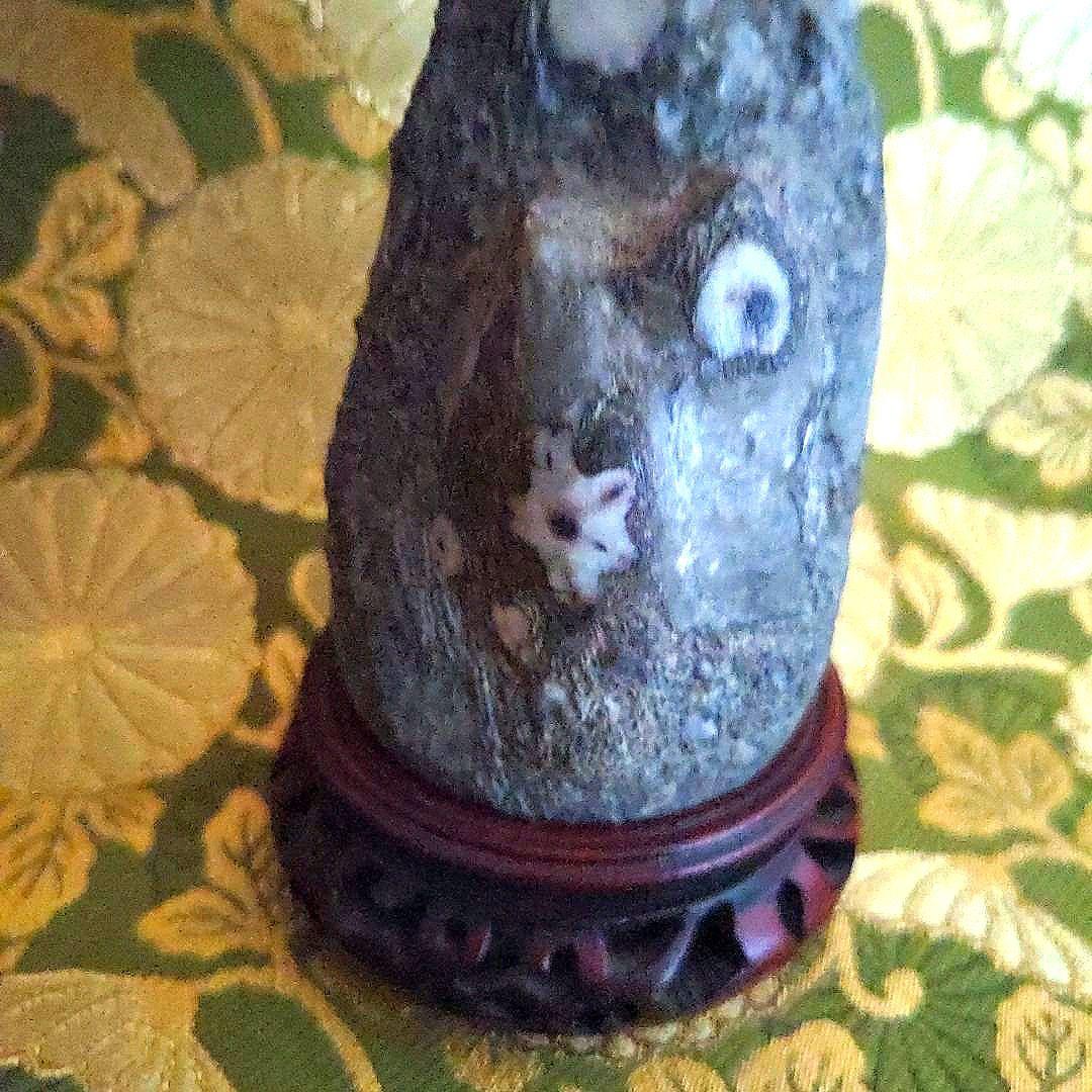 【最終価格】門司　梅花石　台座付　水石　盆石