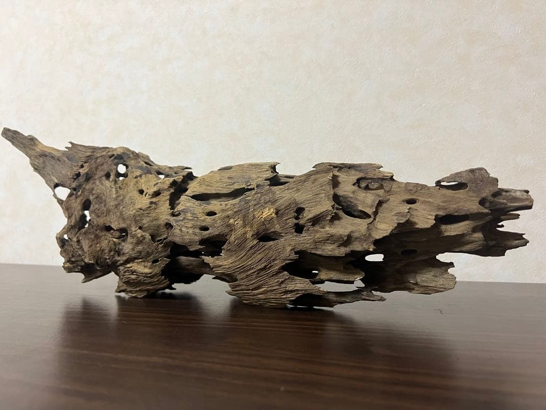XM-456 流木　マシンガンウッド　アクアリウム　ブランチウッド　沈水確認済