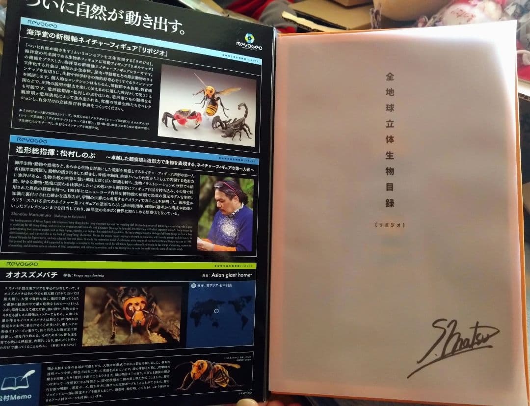 KAIYODO REVOGEO 全地球立体生物図鑑　 オオスズメバチ
