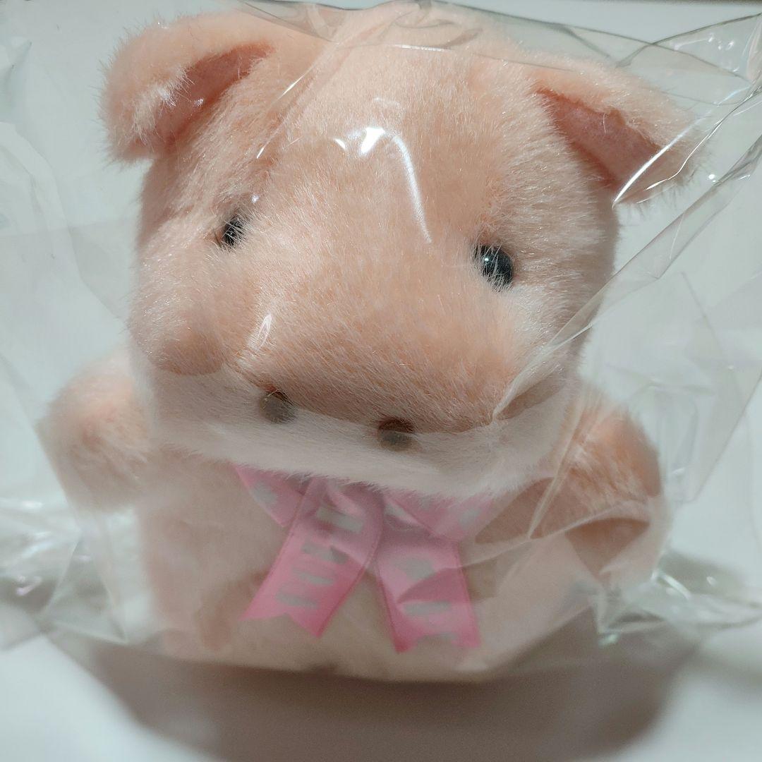 ポッポちゃん　カバ　ミニサイズ　TAKENOKO ぬいぐるみ