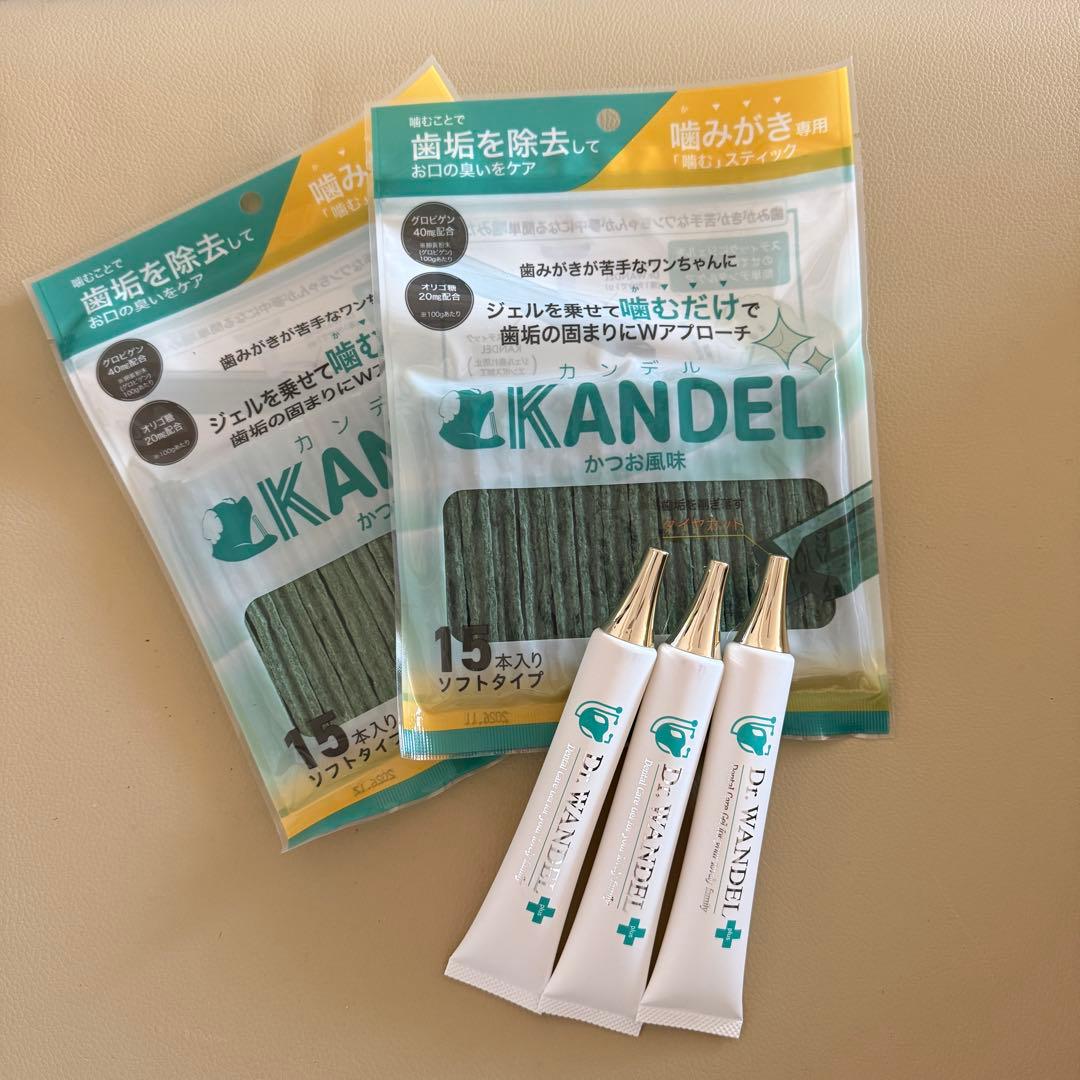 IKANDEL デンタルケア ジェルペースト2本とスティック2袋セット