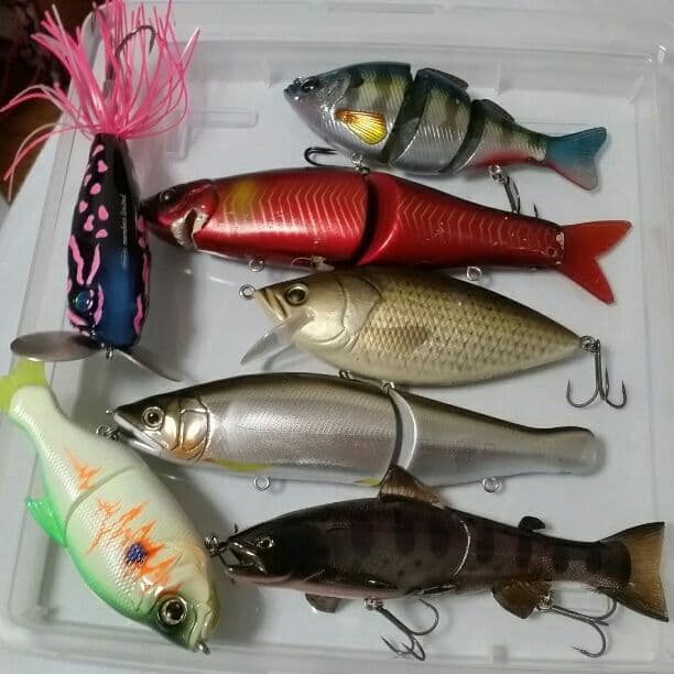 ビックベイトセット