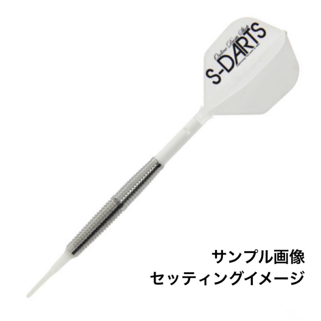 激レア！ DMC ポール・リム プロモデル 18g 2BA