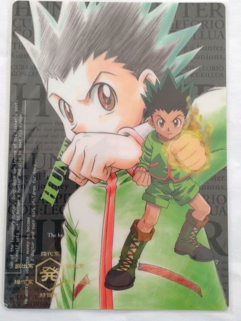 公*o様 【新品未使用】animate商品 HUNTER × HUNTER カー