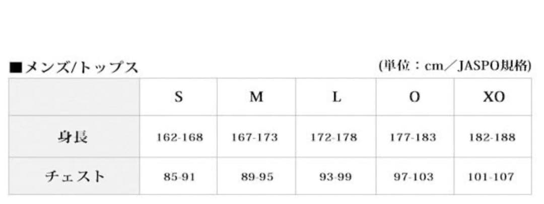 花子さま専用　　未使用 DESCENTE デサント ダウンジャケット