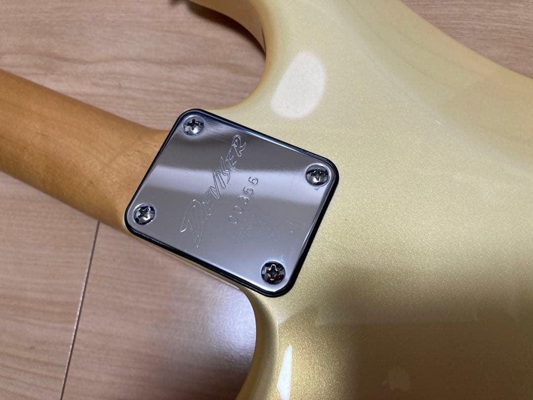 Deviser オーダーGK仕様ストラト　momose bacchus