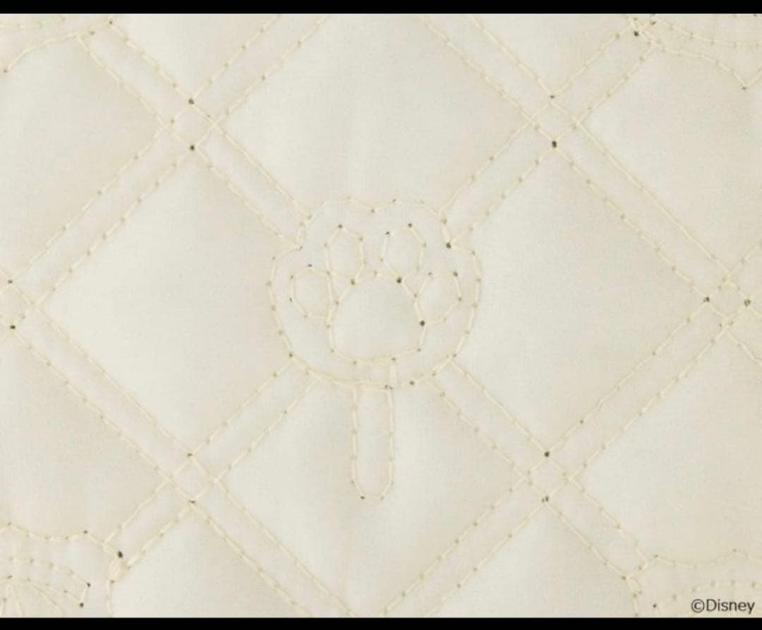 Disney ズートピア　Nick 2冊セット