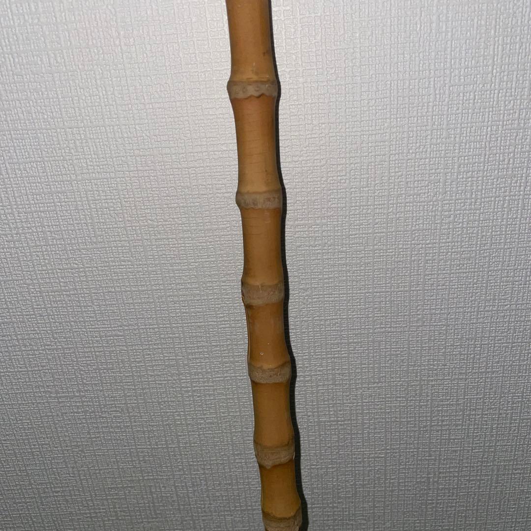 根鞭　ステッキ　竹　杖　アンティーク　ねぶち　曲がり竹