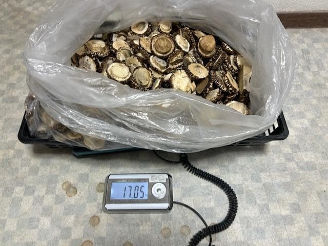 Susi商品　詰め合わせ