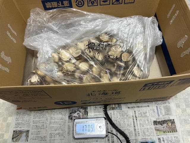 Susi商品　詰め合わせ