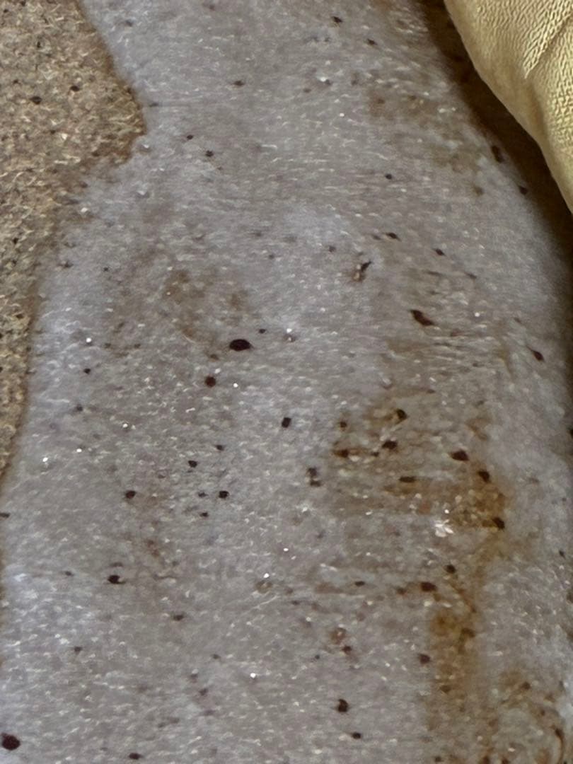 志野焼　志聖　武者小路実篤　絵皿　大皿