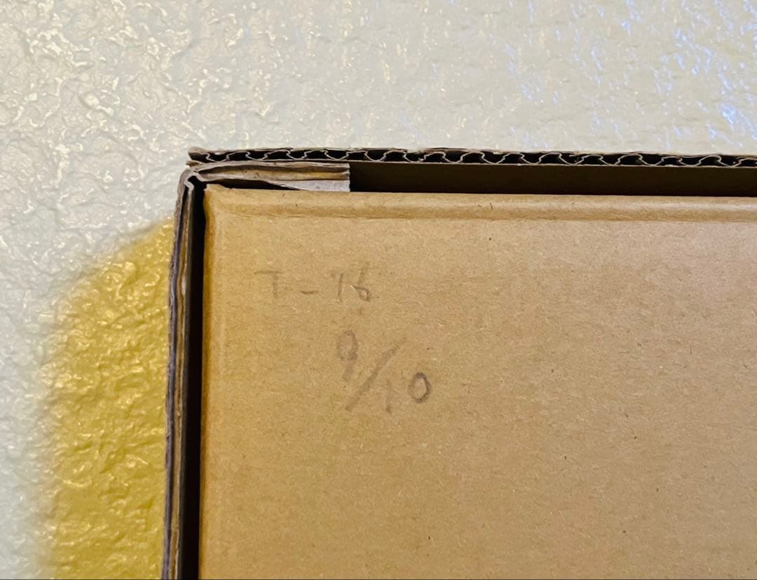 浜崎あゆみ　アクリル写真　10点限定　The Show Must Go On