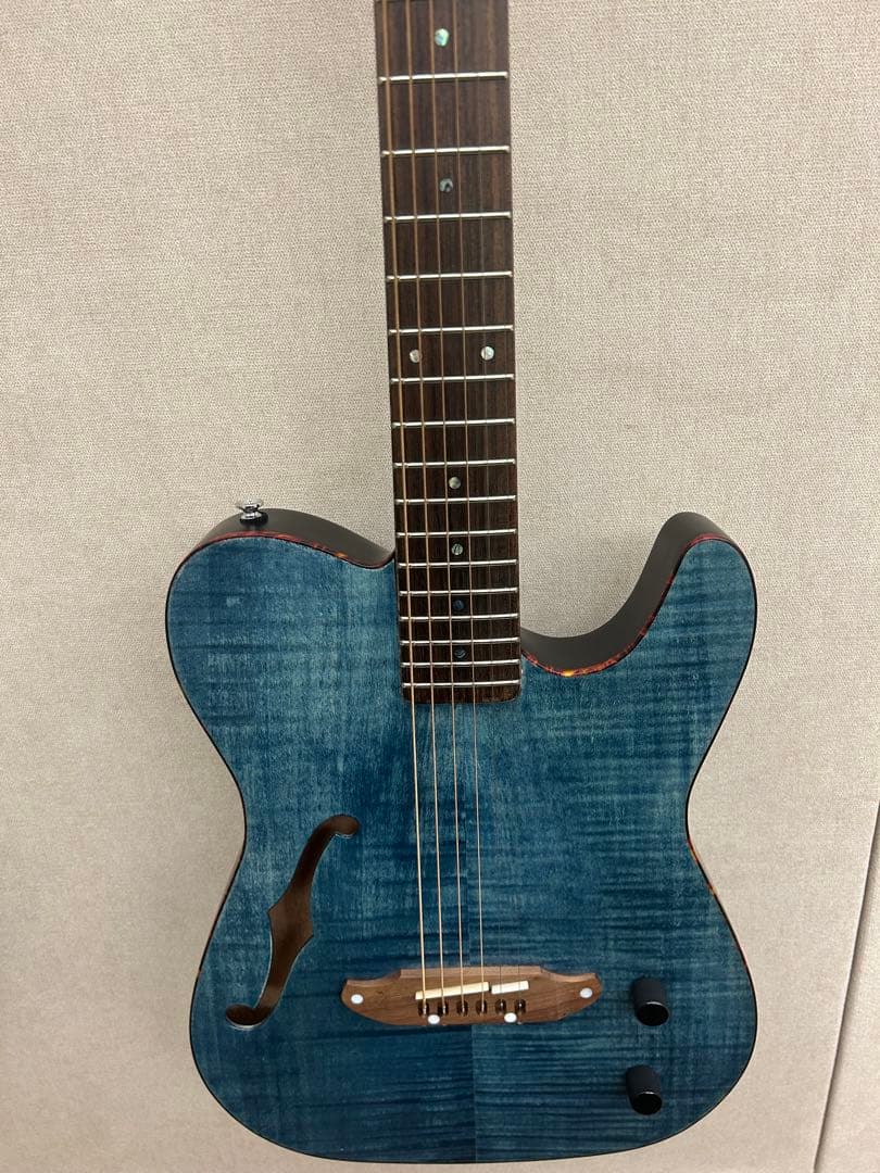 SCHECTER シェクター OL-FL
