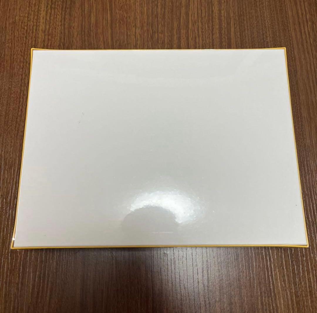 ☆斉藤和義 弾き語りツアー 2019 ジグソーパズル 1000ピース