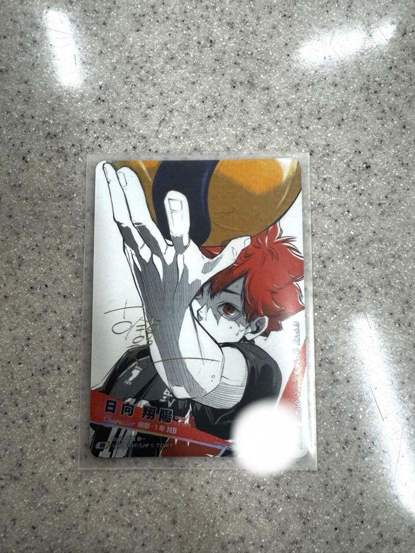 ハイキュー！！バボカ　サイン入り日向 翔陽 極