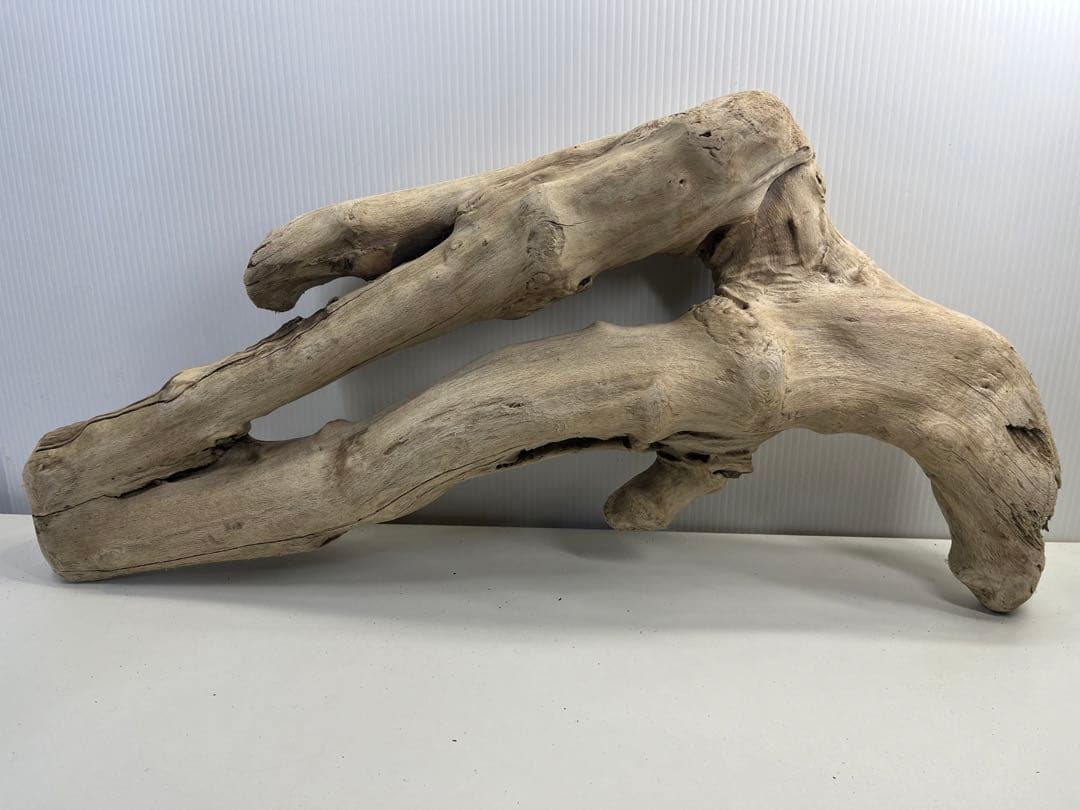 k6大型流木 アク抜き済み 爬虫類シェルター レイアウト用 登り木 インテリア