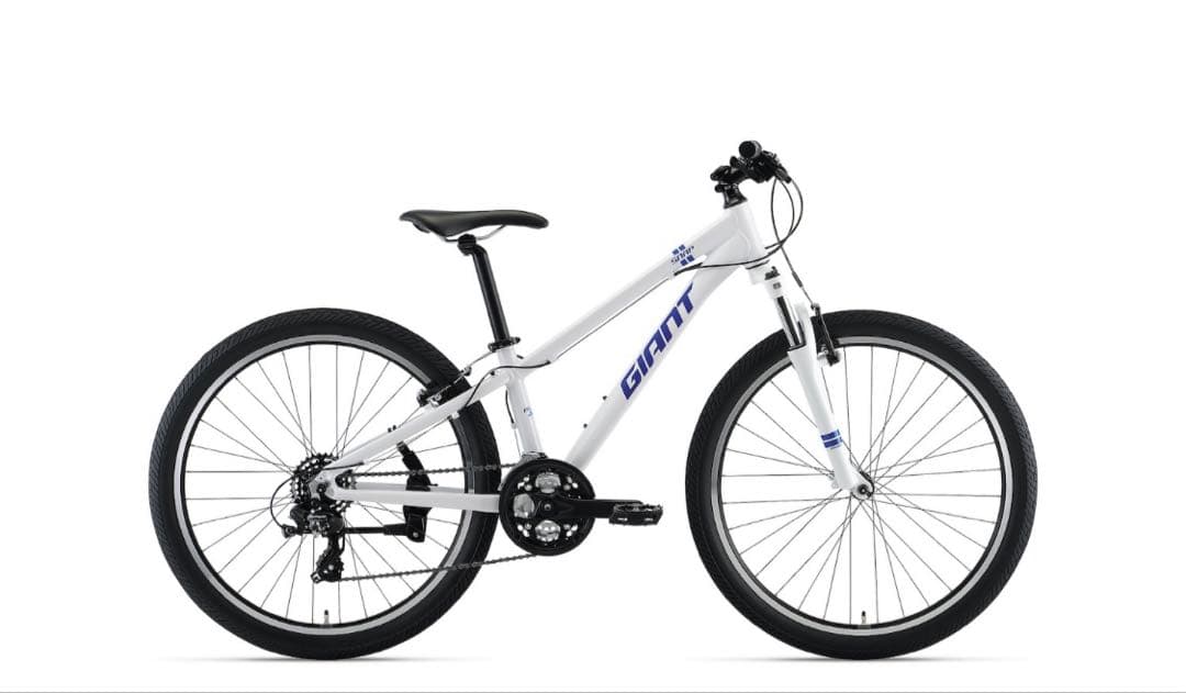 Rojan Rajthala　giant SNAP2022年白マウンテン