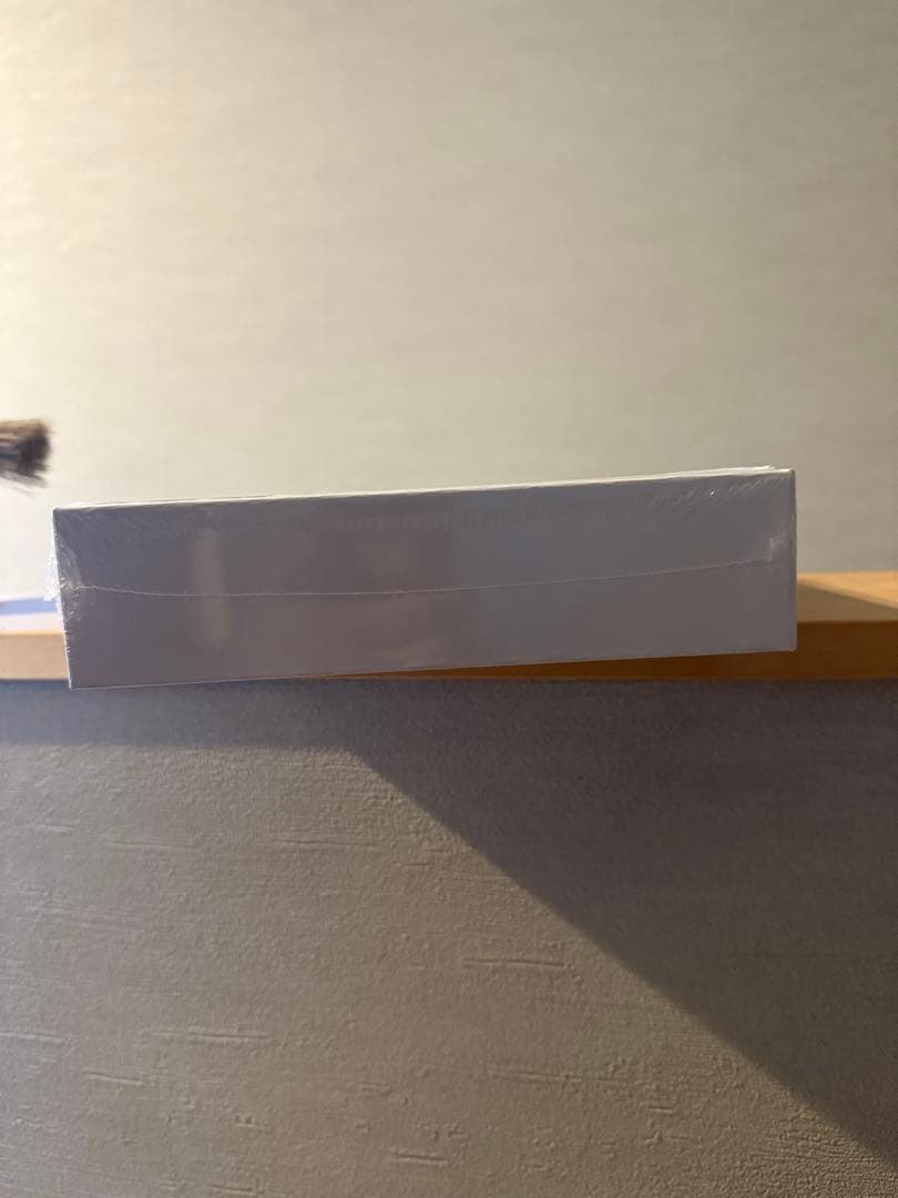 STUSSY BIG MEATY PUZZLEステューシービッグミーティパズル