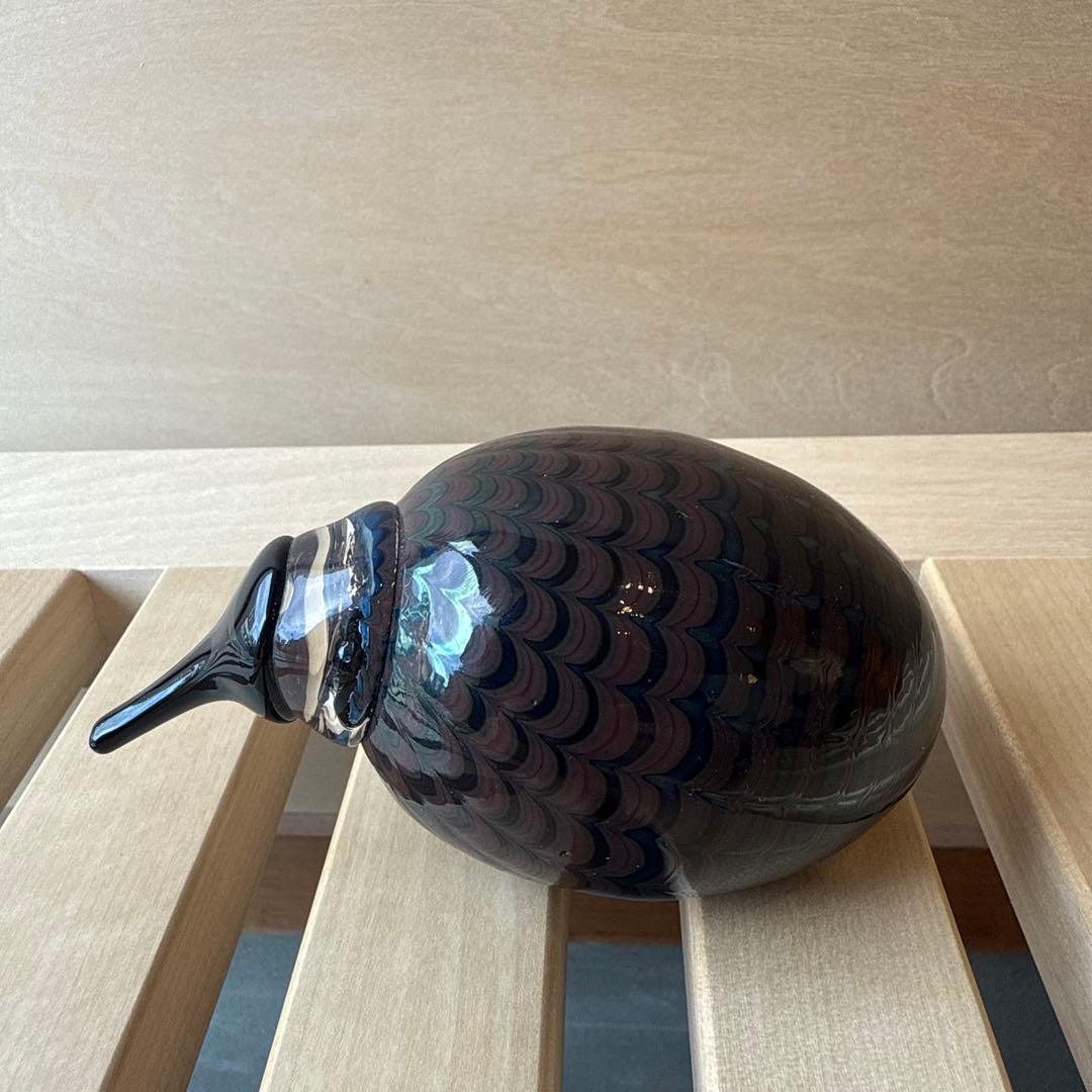 　バード　little kiwi