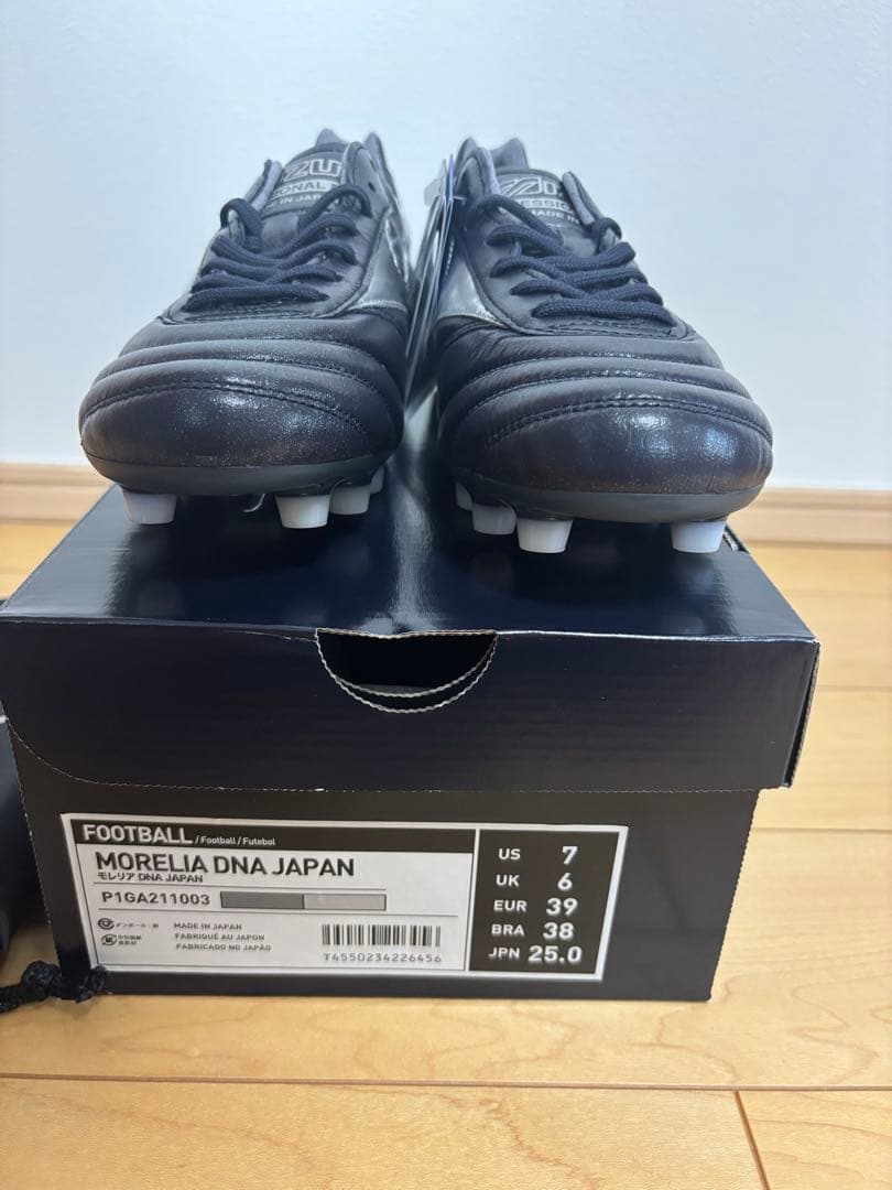 モレリア DNA japan