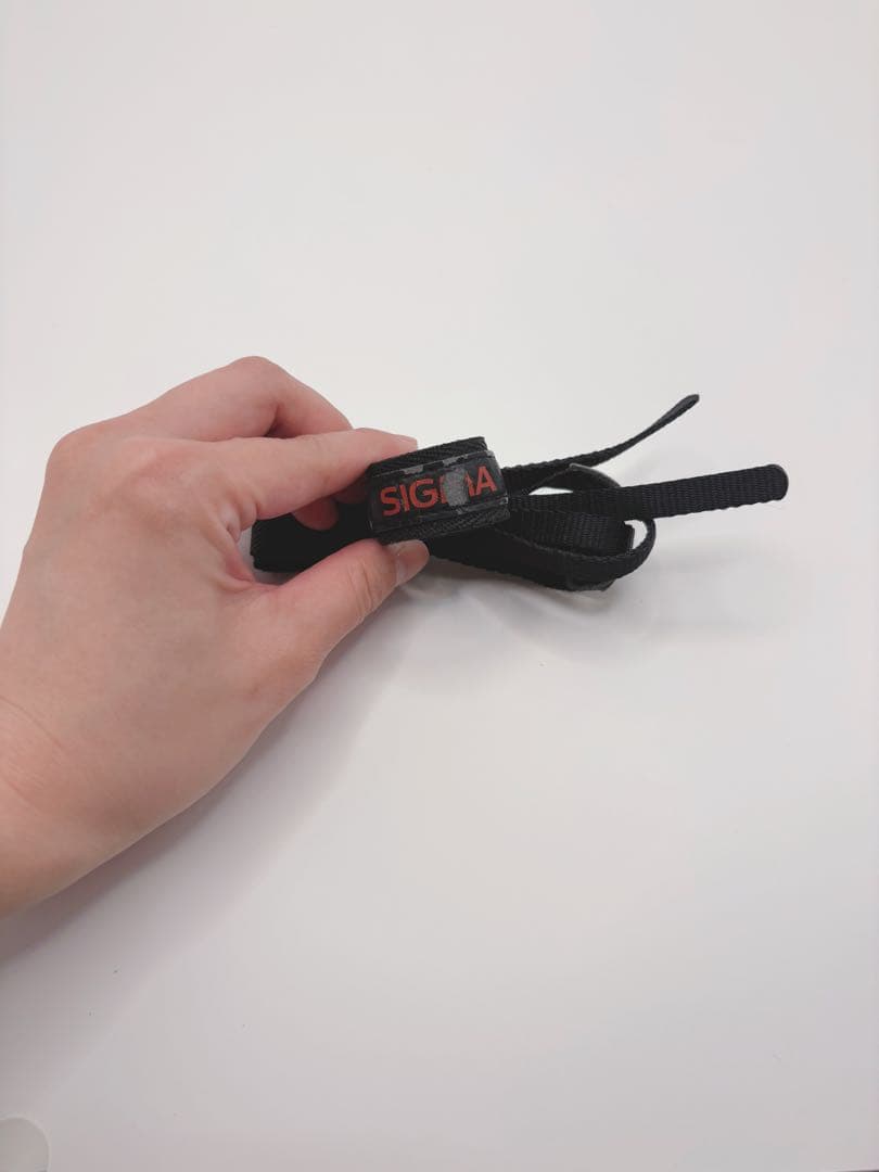 【稼働品】SIGMA DP2x 高画質コンパクトデジタルカメラ