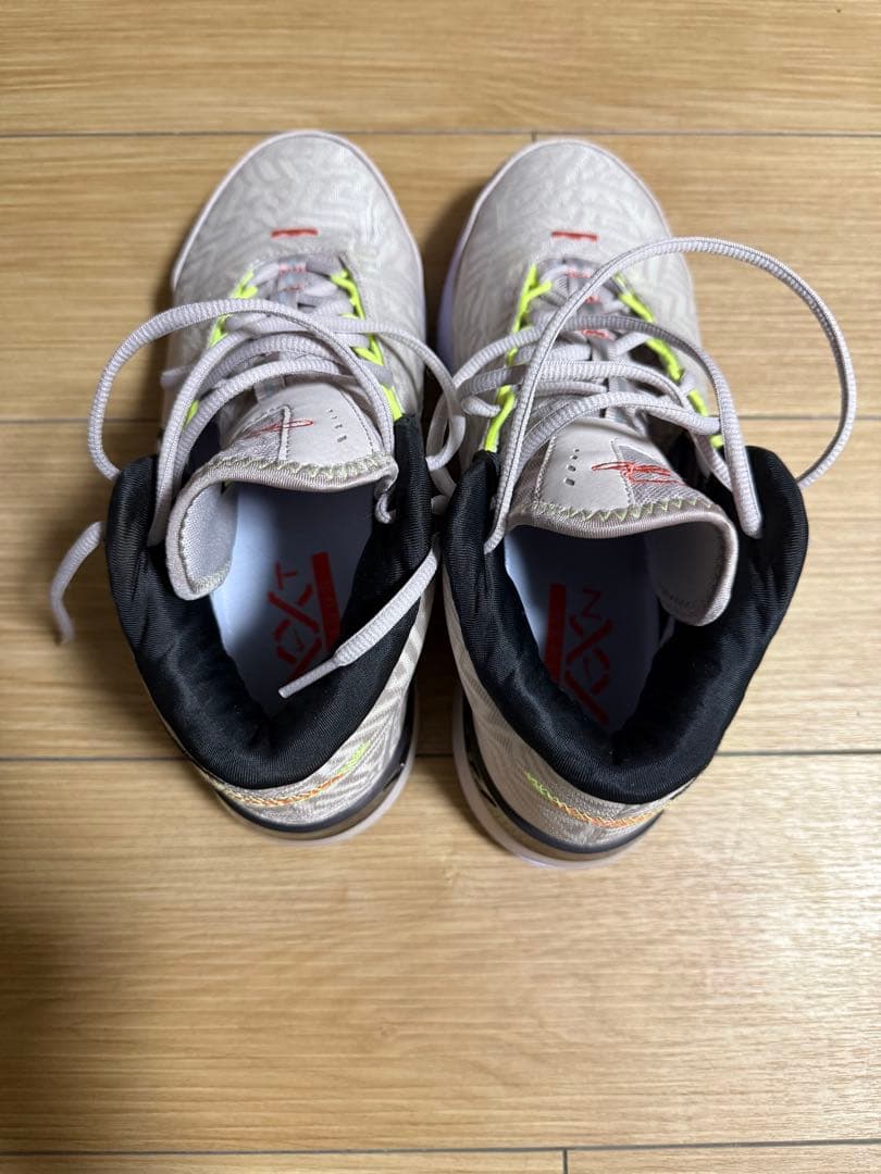 シューズ(男性用) Lebron NXXT GENISUS EP