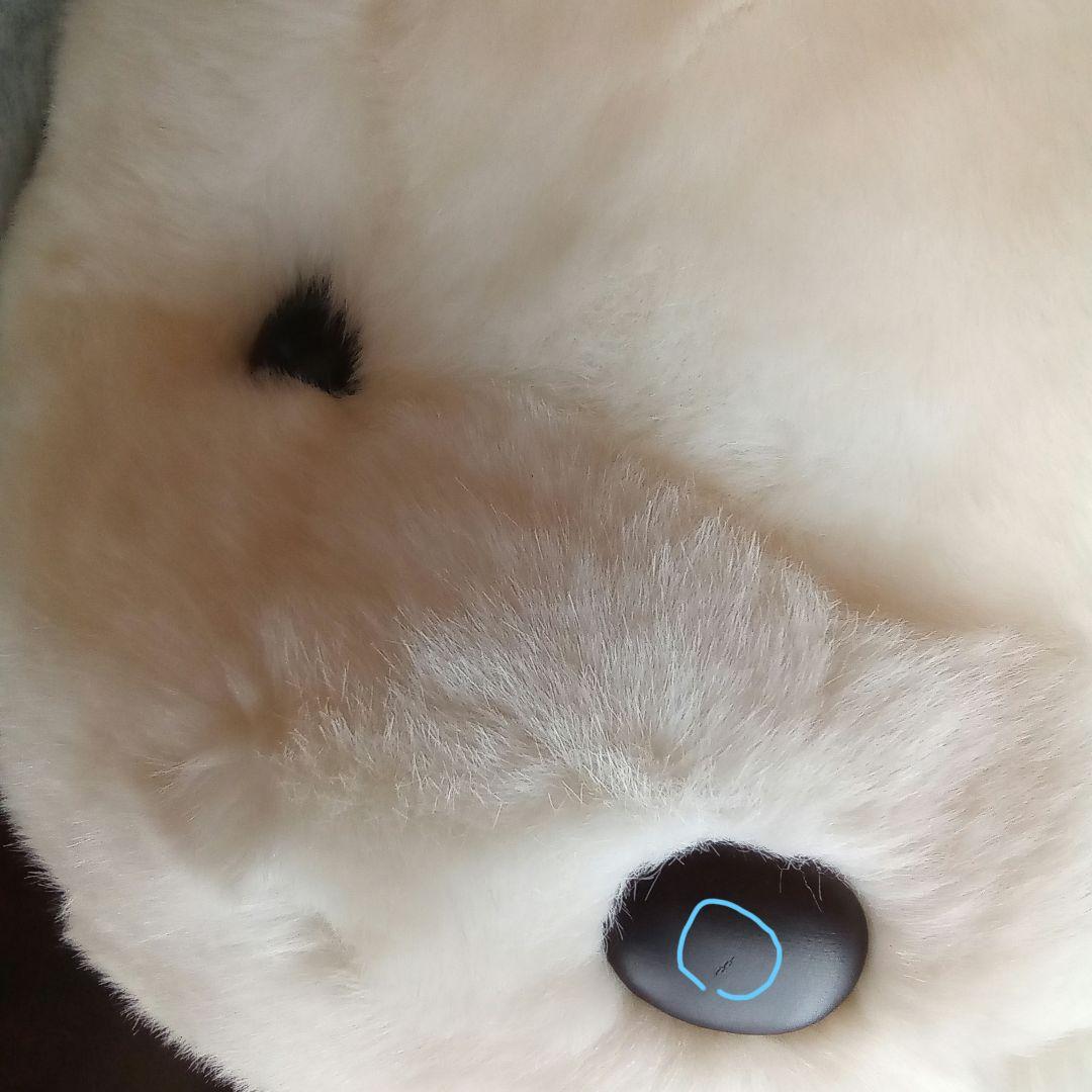 梅吉　特大　オリエンタルトーイ　ぬいぐるみです!