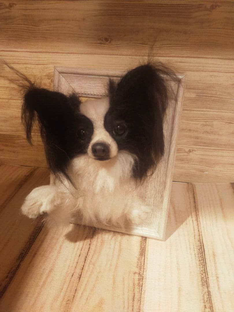 羊毛フェルト　ハンドメイド　犬　パピヨン　フレーム