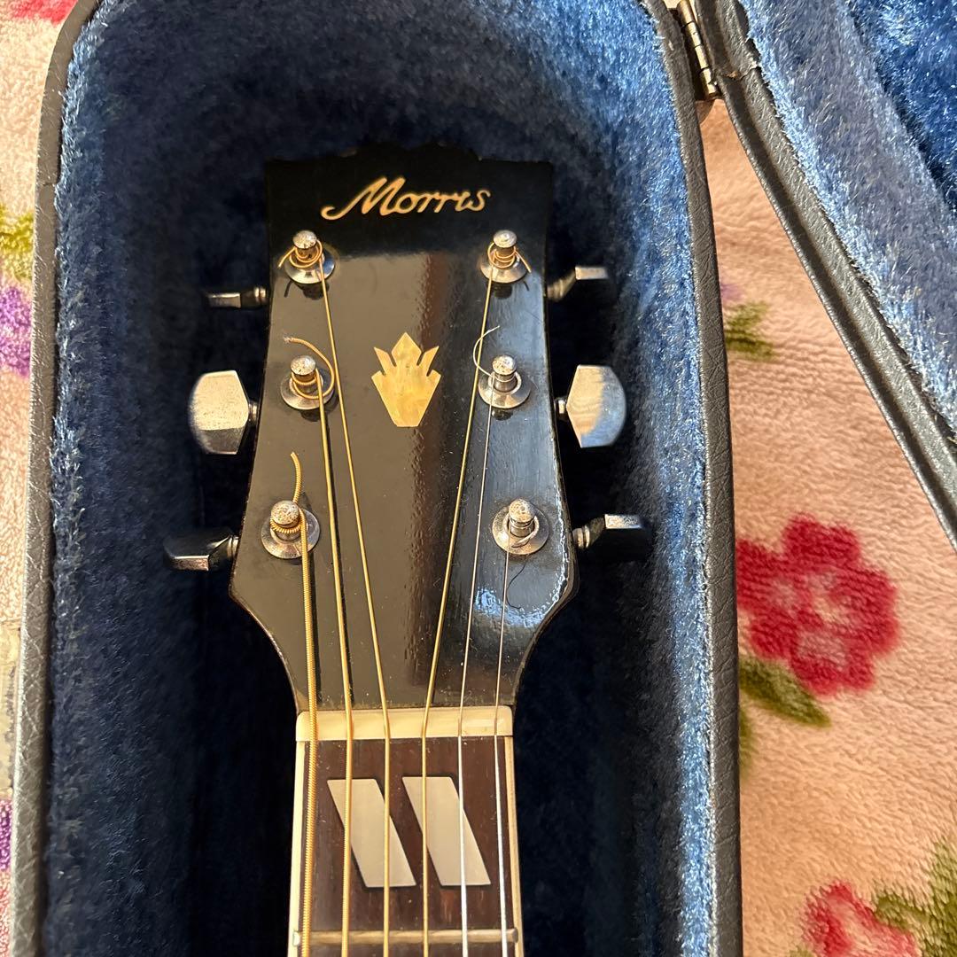 モーリス　ダブモデル➕ハードケース