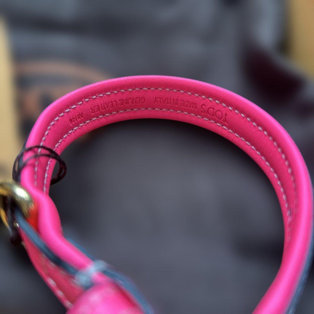 新品未使用　TOD'S 小型犬＆猫用首輪　27-30cm