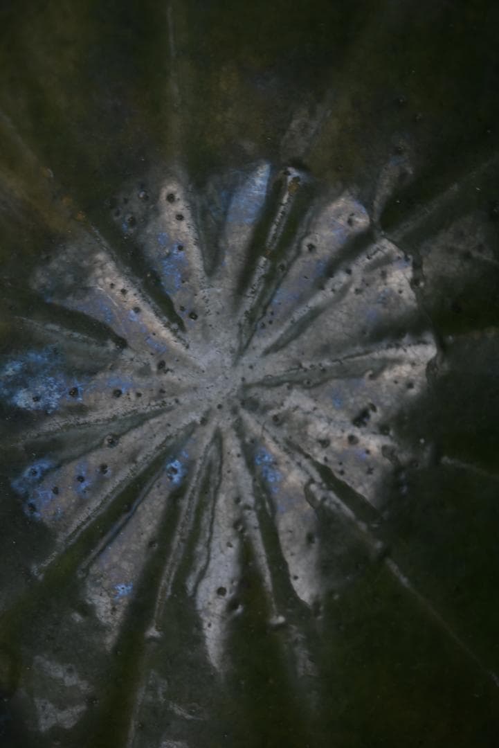 専用　眺めの良い輪花鉢　フランスアンティーク　西洋民藝　19世紀