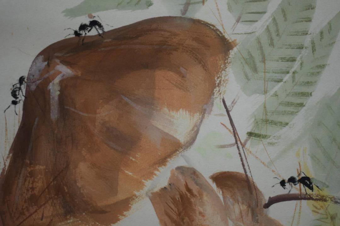 真作/山本紅雲/秋興/椎茸図/桐共箱付/布袋屋掛軸HI-187