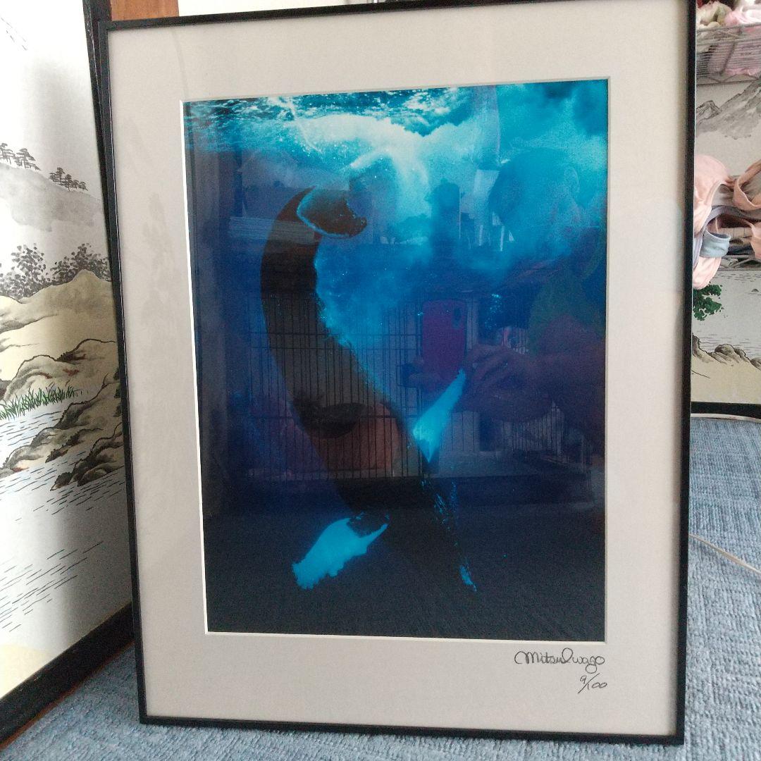 岩合光昭　クジラ　写真パネル　シリアルナンバー入り