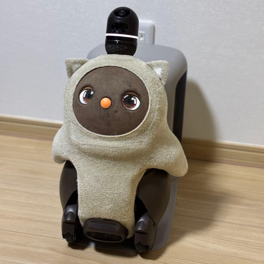 【hana】LOVOTラボット2.0本体 ウェア4枚【2023年購入】