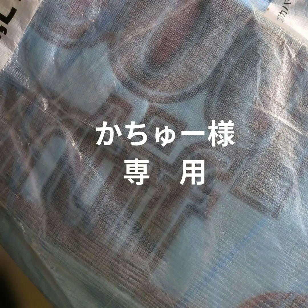 かちゅー　Le coq sportif キャディバッグ