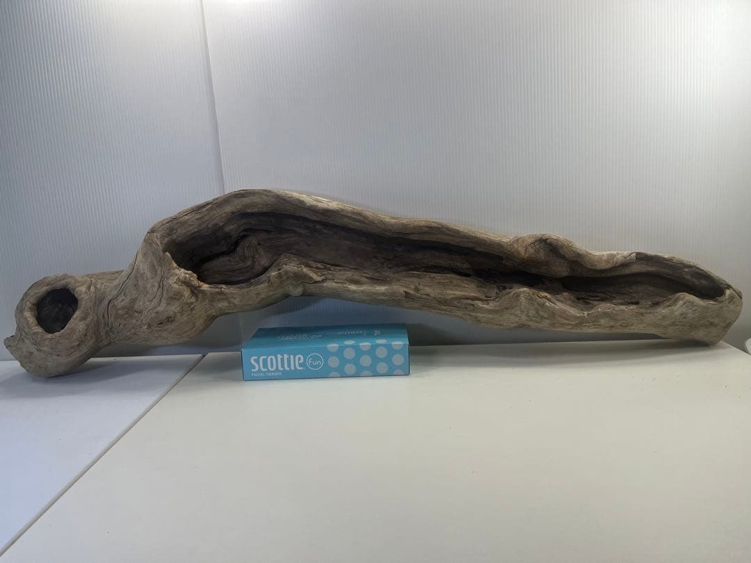 V3 特大流木 アク抜き済み流木 爬虫類シェルター 登り木 インテリア 生け花