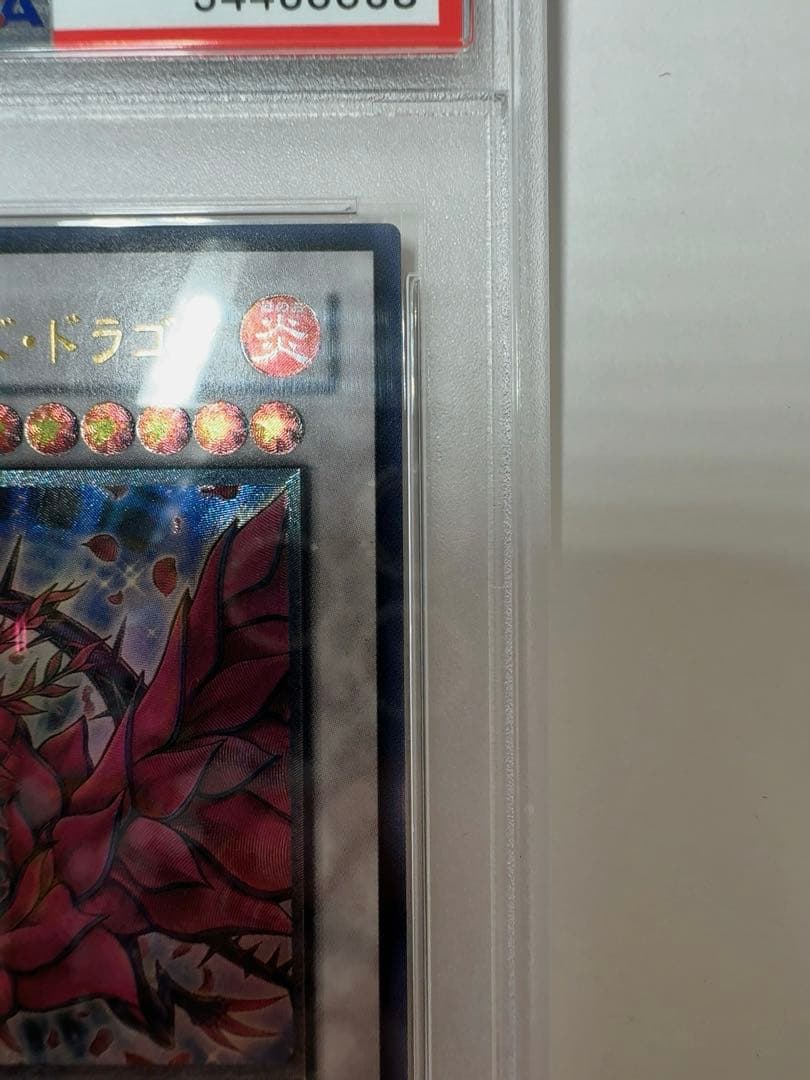 ブラックローズドラゴン　psa10 遊戯王　ブラック・ローズ・ドラゴン