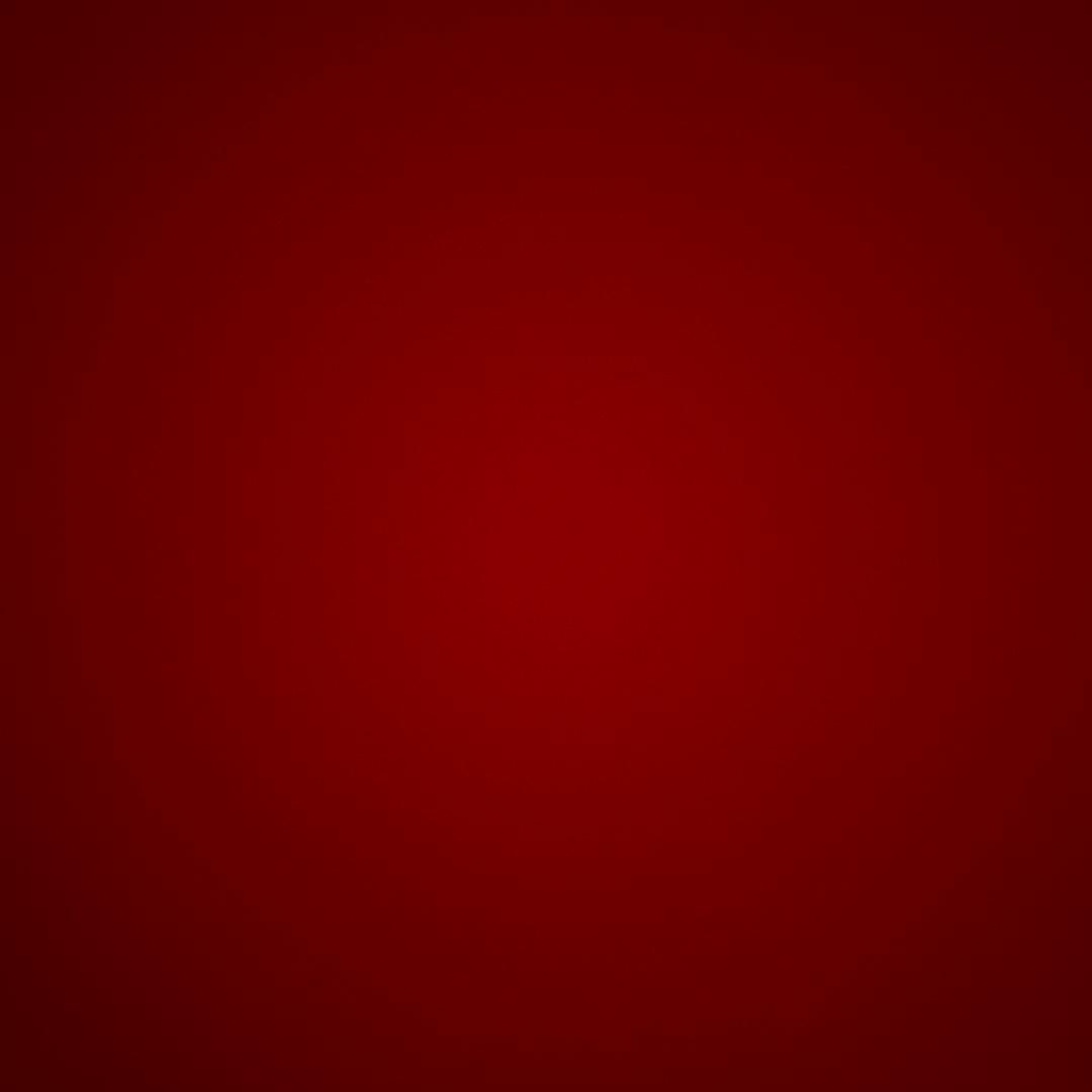 RTMダービーオブサンフランシスコ　ベスト 黒金　L