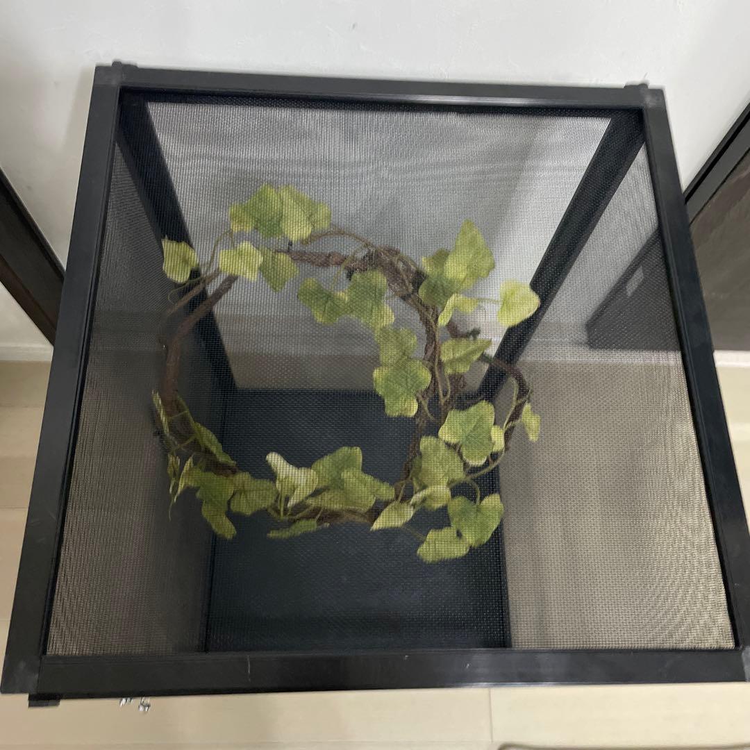 飼育ケージ　ケージ　42×42×66 爬虫類　カメレオン　メッシュ　レイアウト