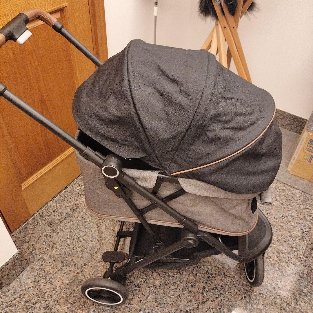 cisco　Compet ルルテイル ブラックグレー No.19662