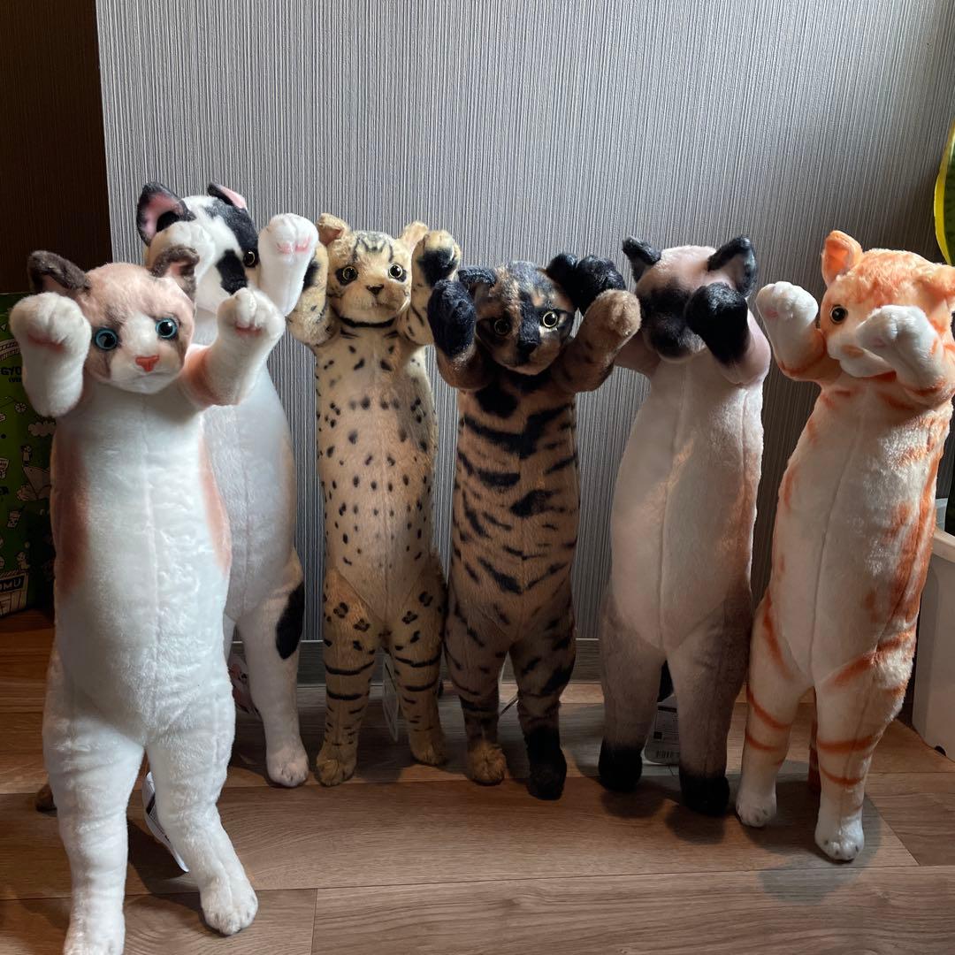 たっちい　Zoo にゃんこ ぬいぐるみ まとめ売り 自立する猫　ぬいぐるみ