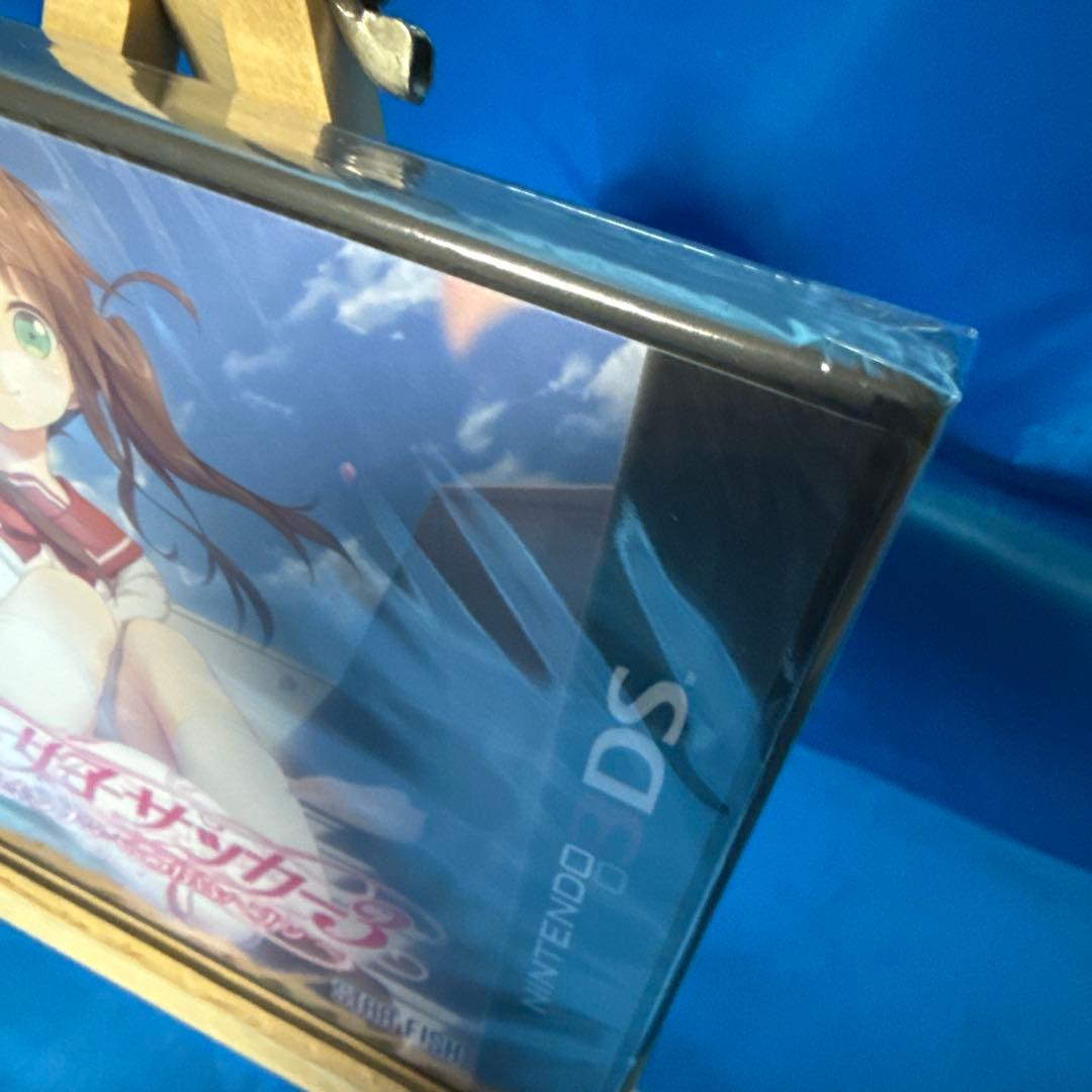 高円寺女子サッカー3 〜恋するイレブン いつかはヘブン〜 3DS