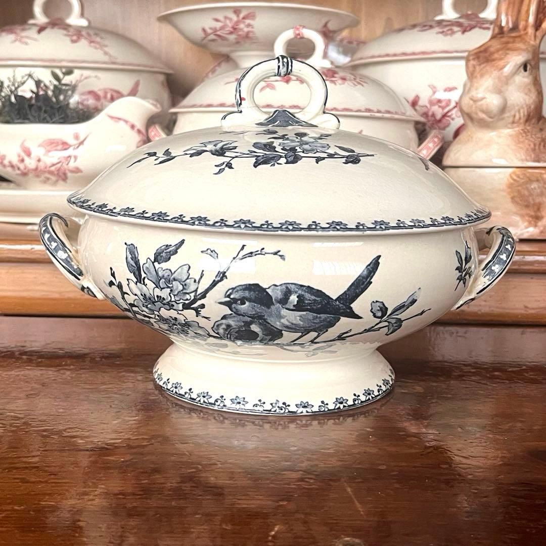 希少＊美品＊仏アンティーク サルグミンヌ favoriレギュミエ・スーピエール