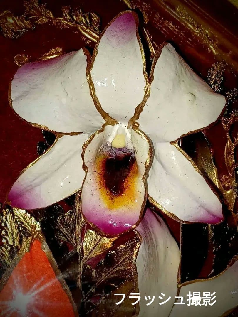 24K♤PURE GOLDエッジ加工／デンドロビウム 蘭 プリザーブドフラワー