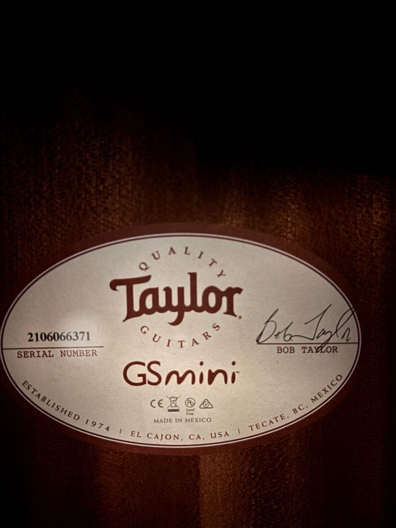 Taylor GS Mini-e RoseWood ES2テイラー