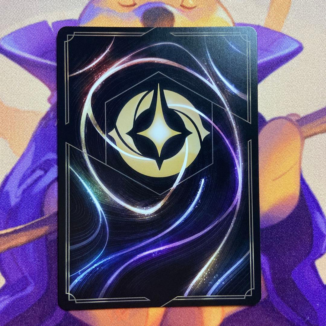 ディズニー ロルカナ サークル・オブ・ライフ エンチャンテッド 2枚