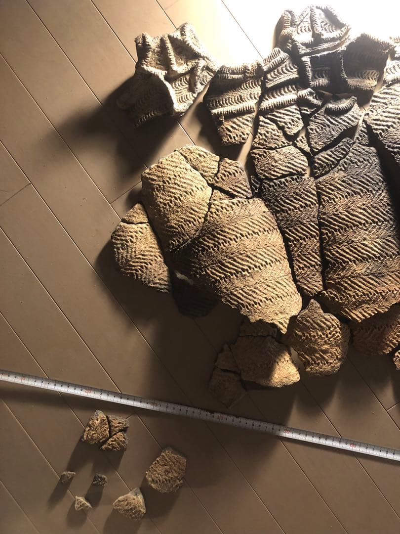 「縄文土器の欠片 No.507」です。