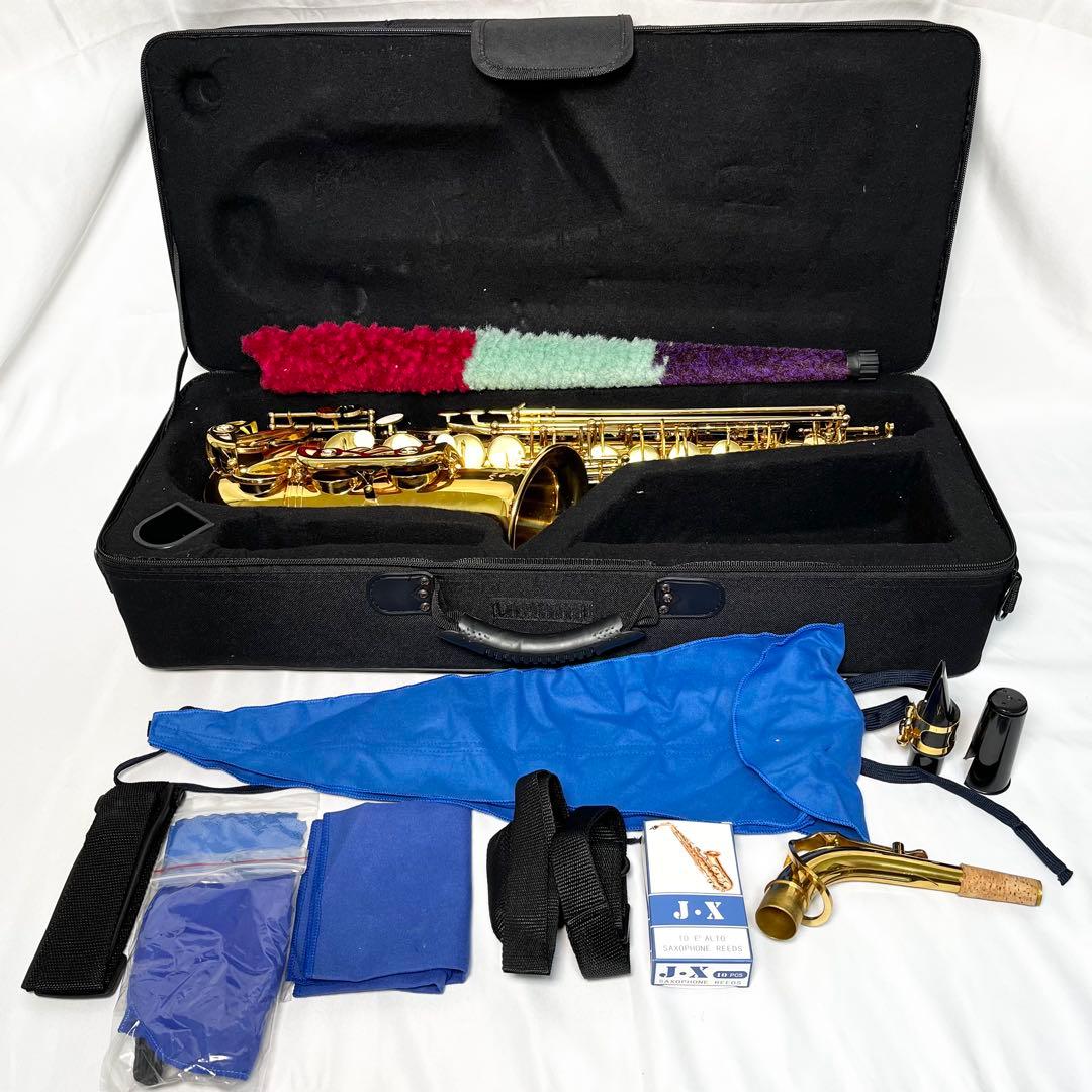 CARINA アルトサックス ケース付