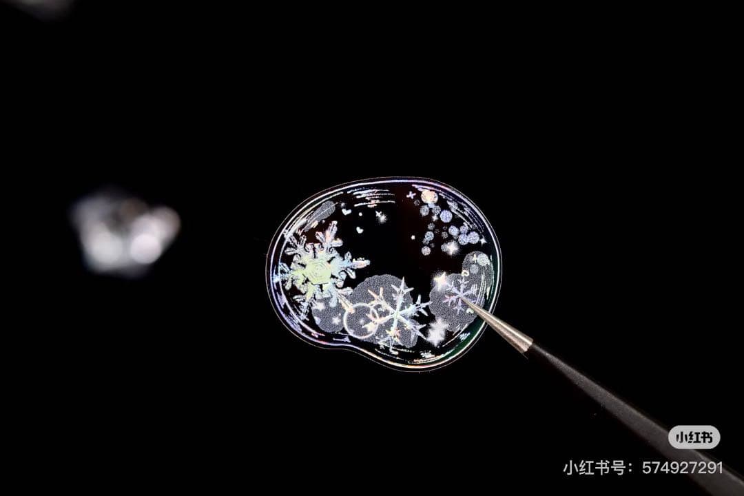 【8698】海外　マステ　5m巻売り　貝殻光カッティング泡　虹色マスキングテープ