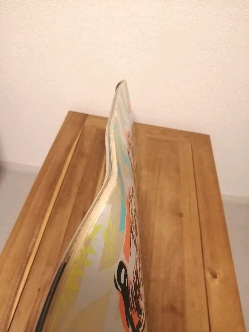 希少 レア✨ SANTA CRUZ サルバ Salbaモデル Tiger 8.6